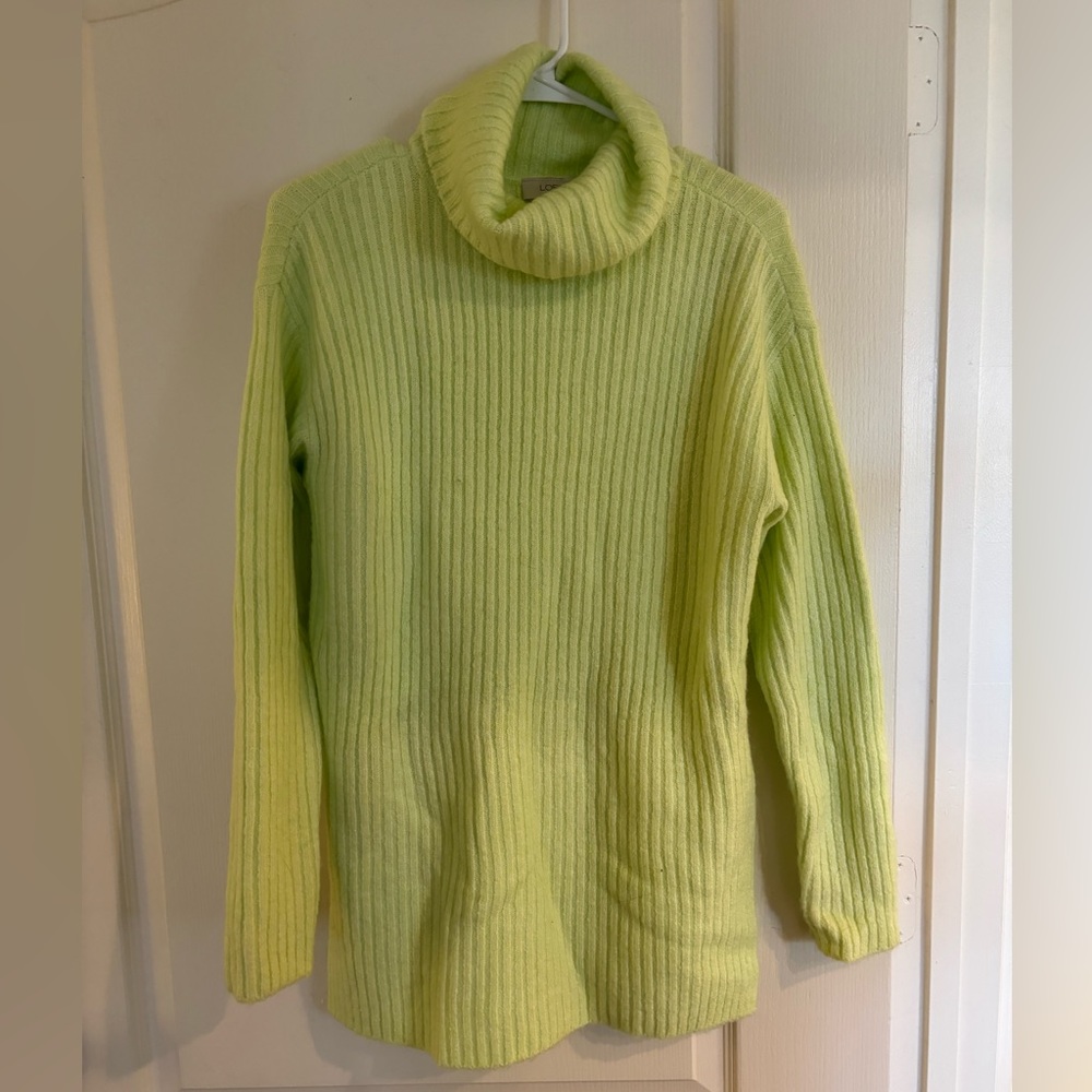 Loft Turtleneck Sweater